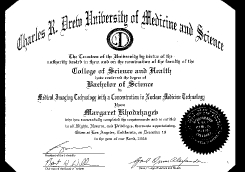 MBA Diploma